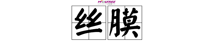 还在用纸盆音响？这些扬声器的振膜不简单