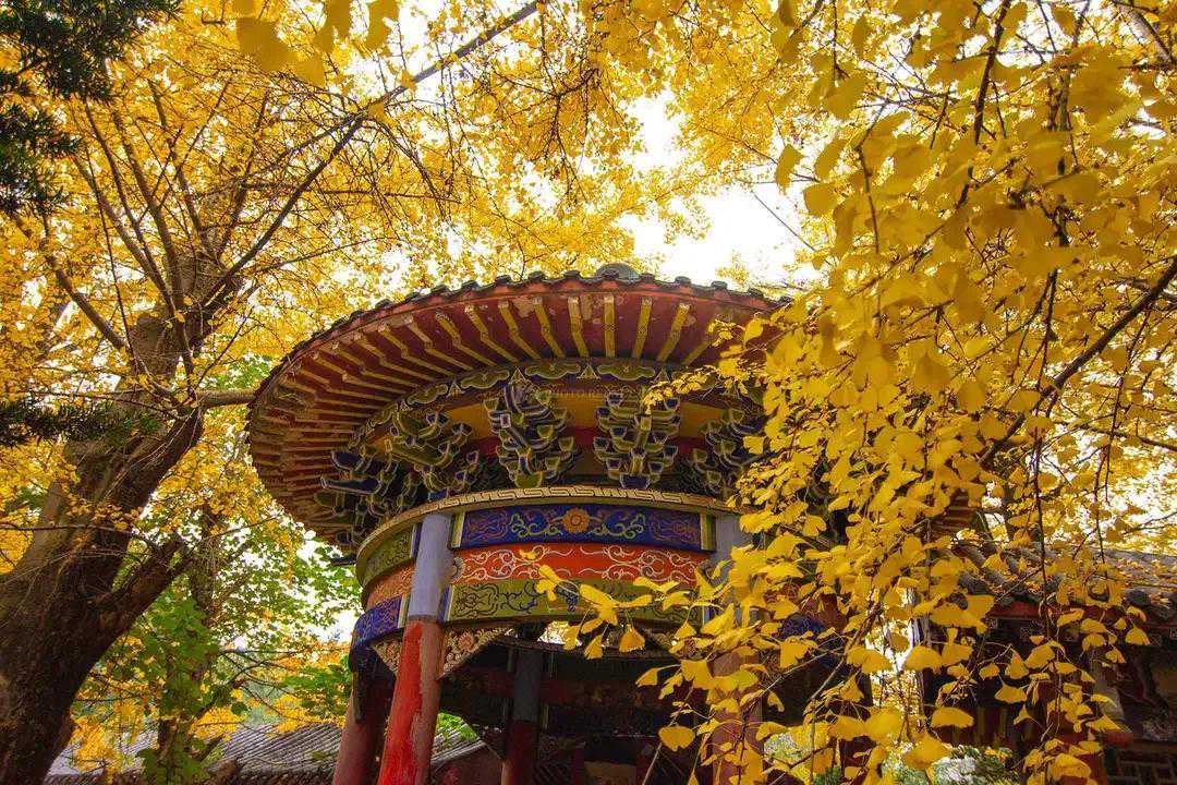 深深的音响（诗歌）