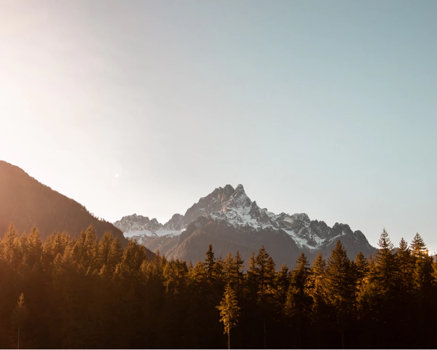 德国政府参与研制的抗结核病新药获FDA批准