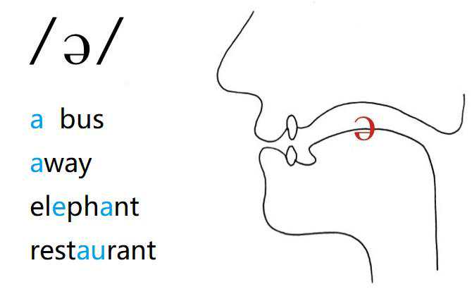 英语中最常见的元音-央音（中性元音schwa）