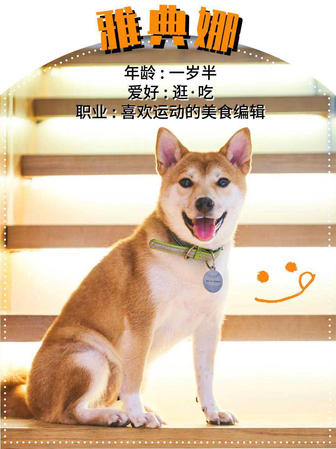 汪汪汪汪汪汪汪汪汪汪汪汪汪