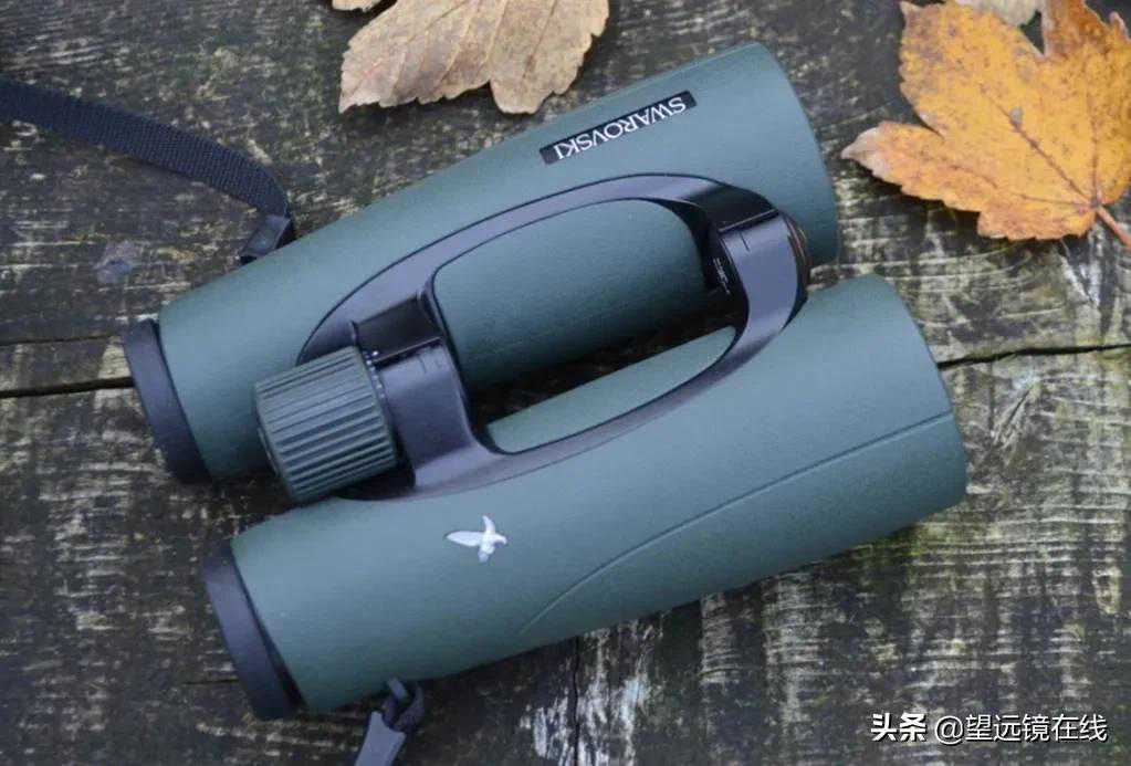 施华洛世奇EL10x50评测