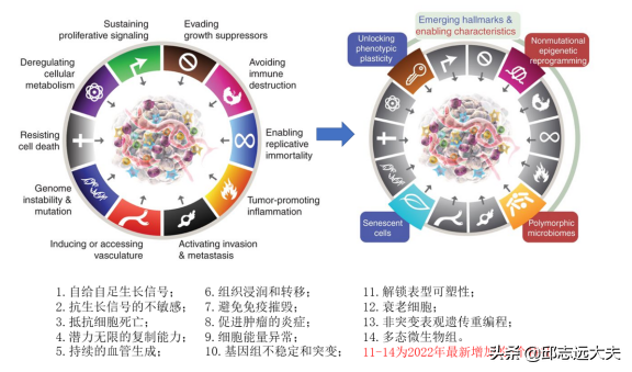 金指环：癌症的14个标志性特征