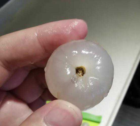 热搜第一！原来自己一直在吃荔枝虫子？网友坐不住了