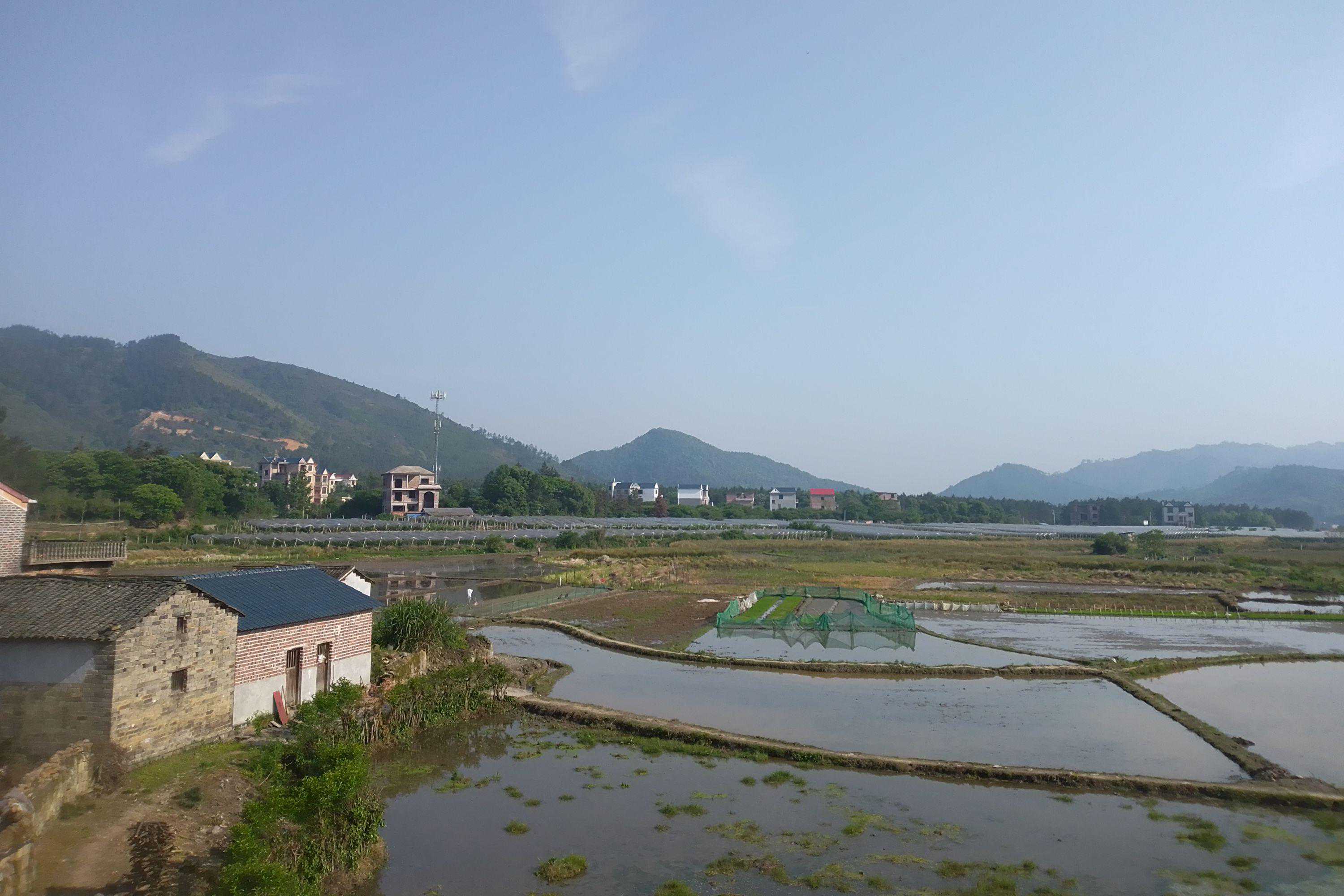 用过几款就敢推荐？618什么书架音箱值得买？