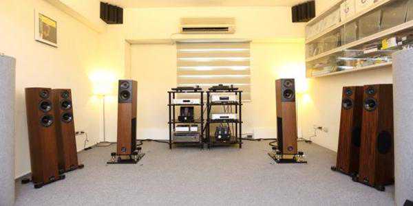 精准再进化，搭配胆机超迷人：德国飞星Audio Physic Virgo III