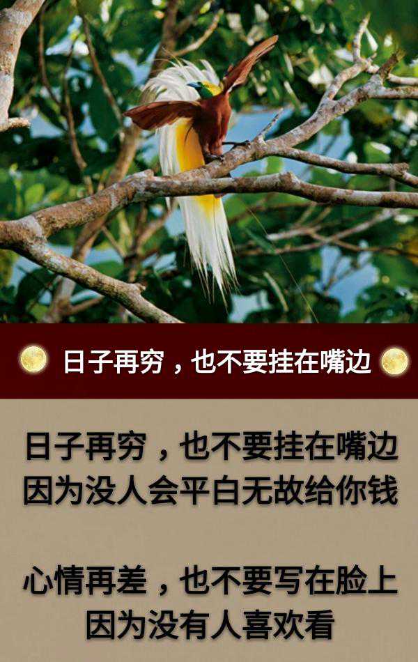 不怕待遇低，就怕命归西；不怕挣钱少，就怕走得早！句句醒人