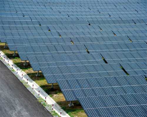 为什么乌龟会咬你？紧咬不松口怎么办？用这3招，别学驴叫