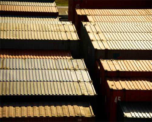 生于田边，人称“雷公藤”，可当饲料、药材，如今想挖不好找