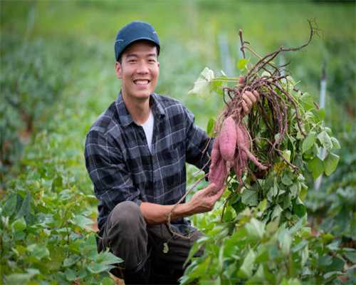 自制“捞女手册”诈骗2亿，日本版谭竹被判刑9年