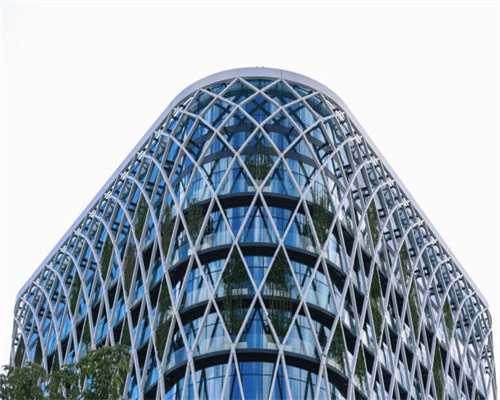 27元一公斤白术飙升至260元 商贩：价格回落等后年