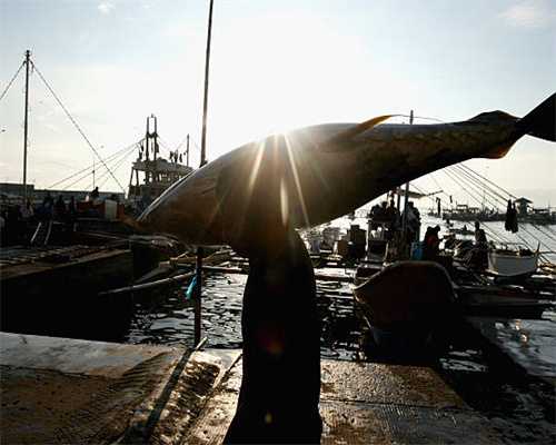 广医名方 | 止痒润肤霜