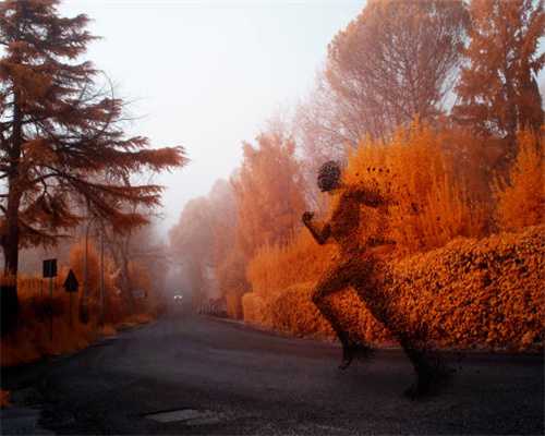 “植物黄金”杜仲树：很多人听说过它的大名，却对其并不了解！