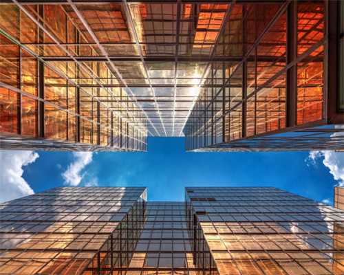 珍珠母（平抑肝阳药）