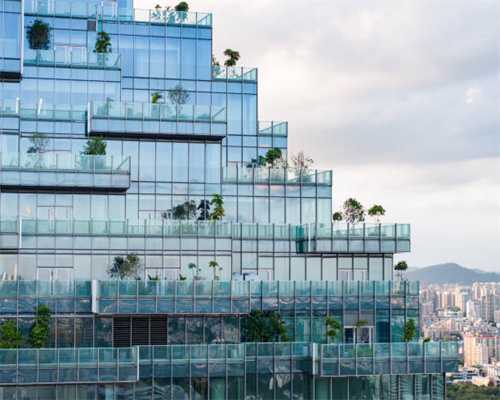 瓦松：过去瓦房顶才有的奇特植物，认识它的年纪不小了，有啥价值
