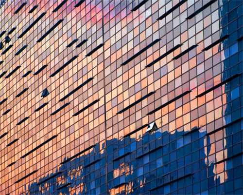 我家从不买鸡精，自己在家做鸡粉，鲜香美味无添加，做一次吃半年