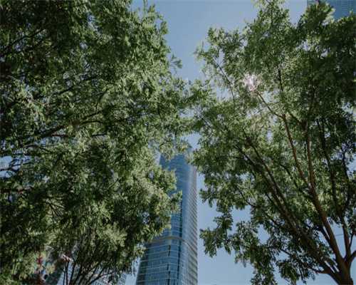 张庭夫妇涉嫌传销背后：直销、传销、微商傻傻分不清？