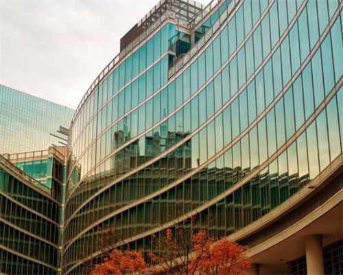 蜚声海内外，歌尔紧抓创新“牛鼻子”