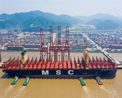 每日一药——露蜂房