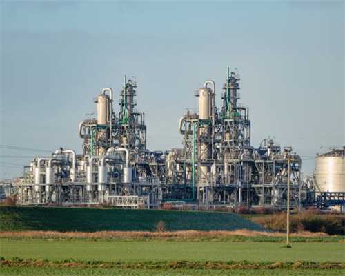 全国著名经方大师王付教授对提升中医学术发展进步的六大杰出贡献