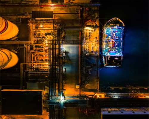 新研究发现记忆不仅存在于大脑中