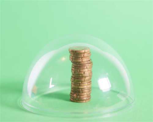 祖传红烧狗肉的做法