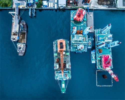 俗称“碎石草”，蛇遇到了都怕它，农村路边经常遇到，一起认识下