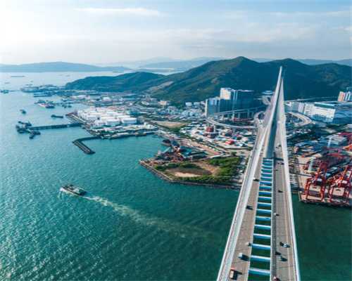 兰花从动辄卖几十万到跌入谷底，当年的养花人现在在做什么