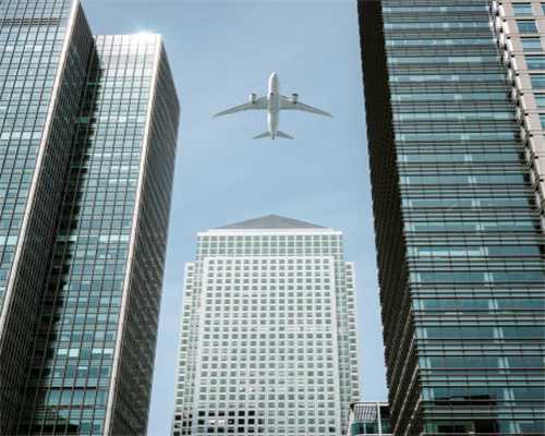 晁无疾老师教你“一条胳膊看树势”